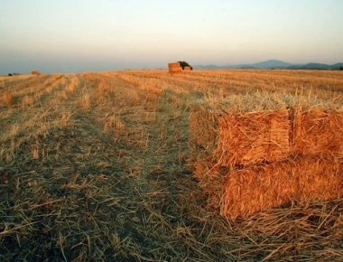 Ρεύμα από άχυρο φιλοδοξεί να παράγει το Κιλελέρ